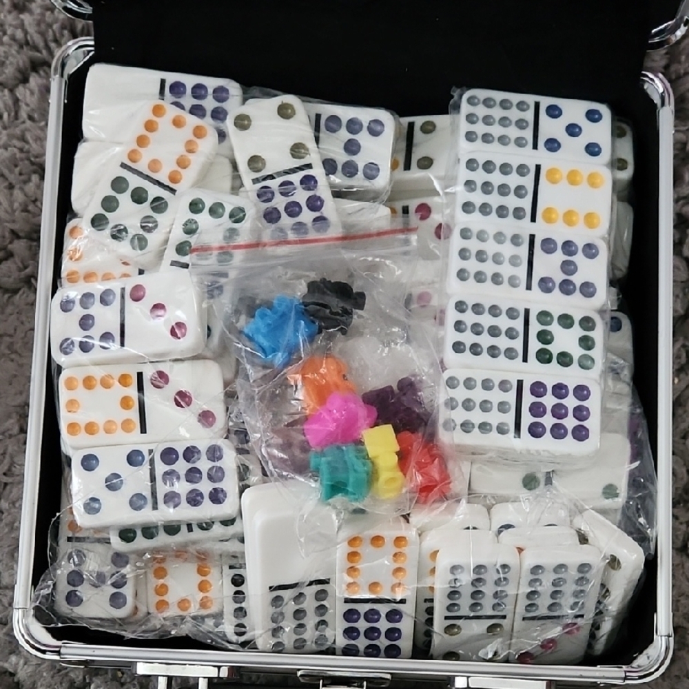 Colorful Domino Set in Case